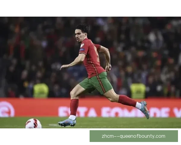 2025夏季转会风云尼斯官宣签下法甲助攻王引爆联赛格局新期待